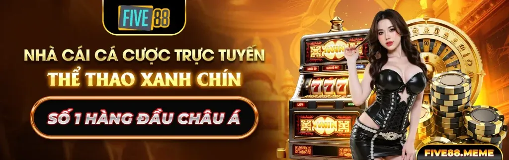 Tổng quan chính sách cookie Kuwin VIP